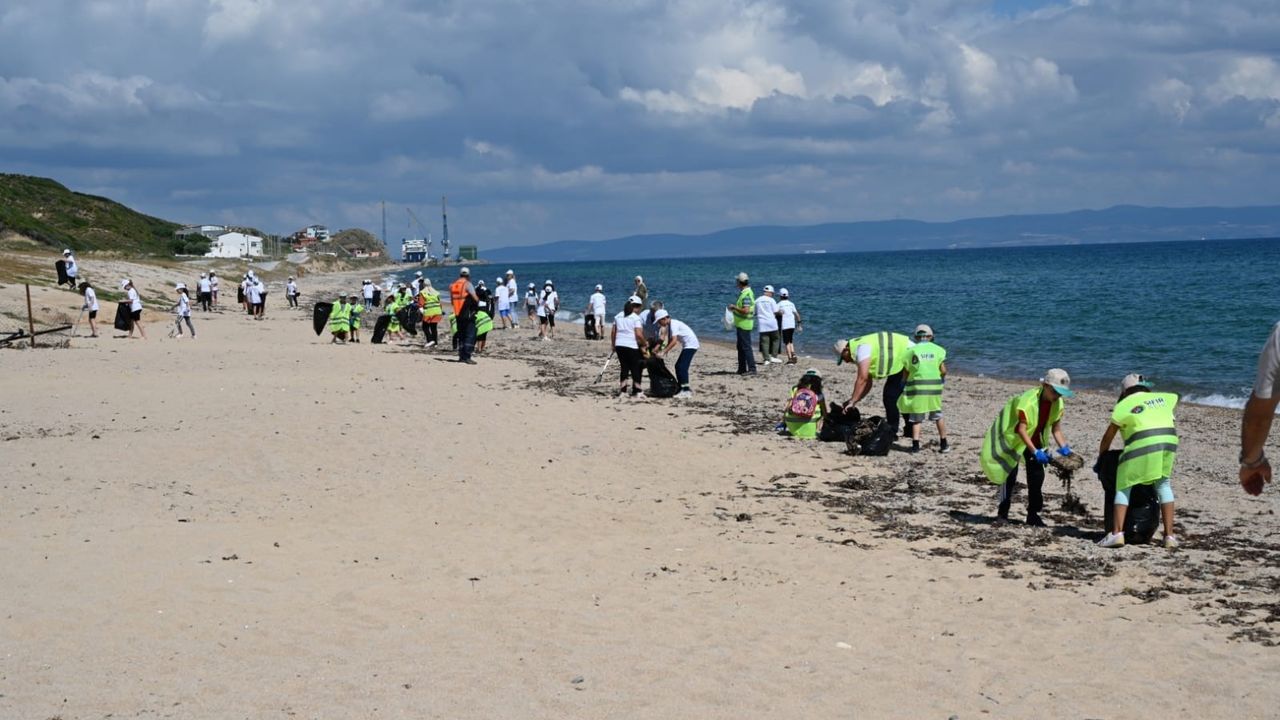 Dünya Çevre Günü'nde sahildeki atıklar toplandı, fidan dikildi