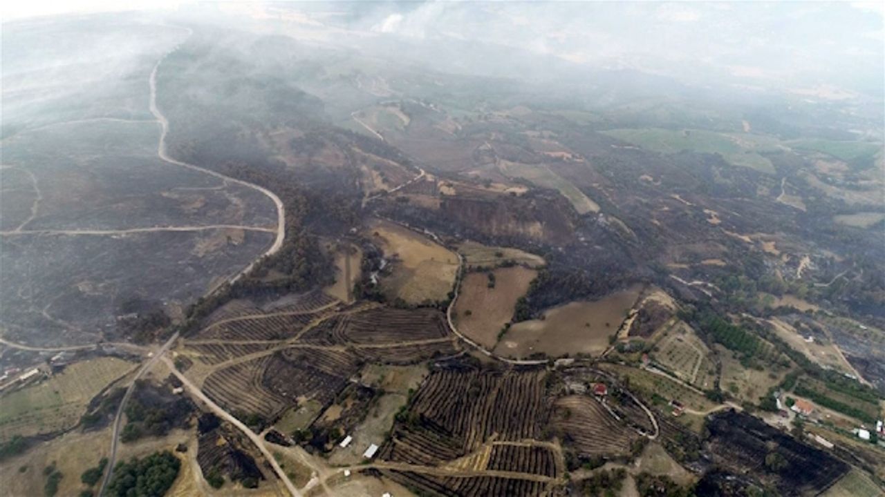 Kızılkeçili yangını bilançosu: 2.500 hektar zarar gördü