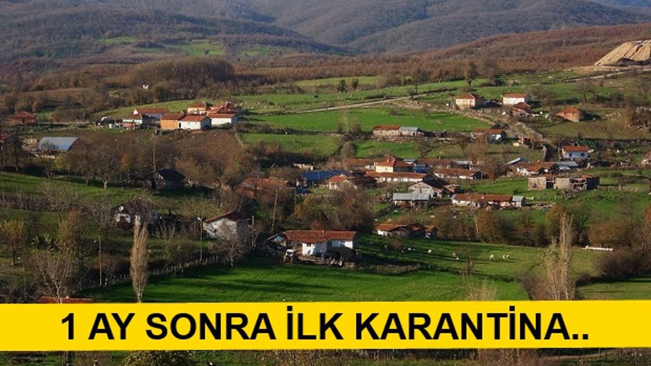 Yenice'de 1 Köy Karantinaya Alındı..