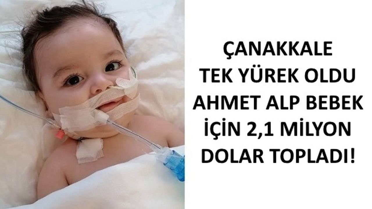 Ahmet Alp bebek gün sayıyor