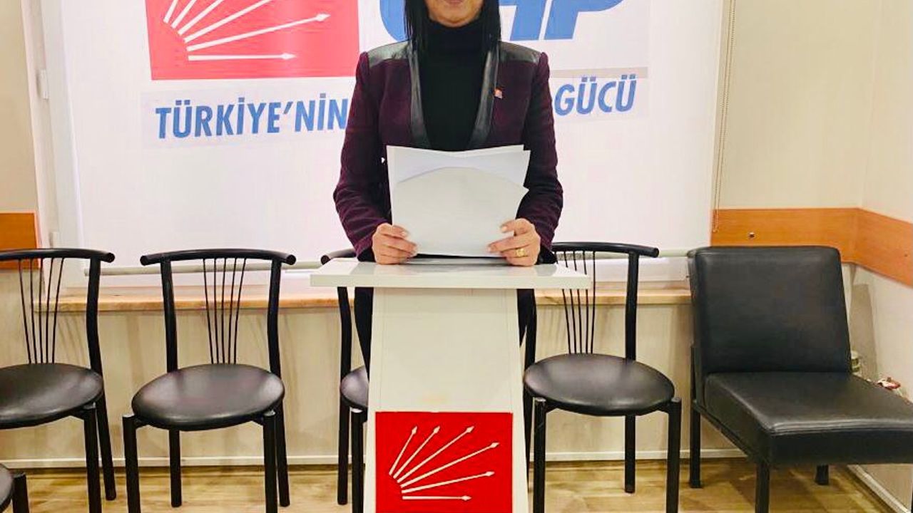 CHP Kadın Kolları: İstanbul Sözleşmesi’ni yeniden yürürlüğe koyacağız