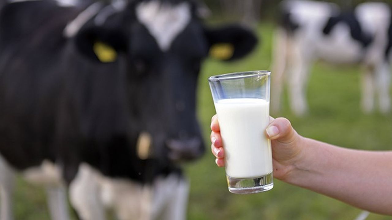 Çiğ süt referans fiyatı belli oldu