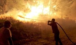 AFAD’dan 6 il için orman yangını uyarısı