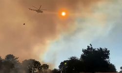 Çanakkale'deki yangına müdahale devam ediyor