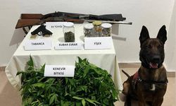 Biga'da zehir tacirlerine operasyon