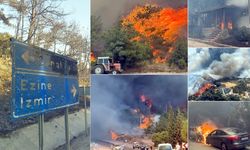 4 Yangında 5 Bin 236 Hektar Orman Zarar Gördü