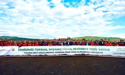 Biga’da yazın yanan yere 3500 fidan dikildi