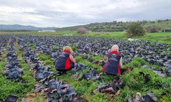 Tarladan sofraya sağlık için teknik inceleme