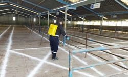 Biga'da şap hastalığı nedeniyle hayvan pazarı kapatıldı