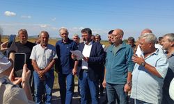 Biga Ziraat Odası Başkanı Ergün: "TMO Çeltik Fiyatını Derhâl Açıklamalıdır"