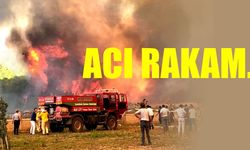 Çanakkale'de 222 hektar yandı
