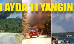 Çanakkale'de 1 ayda 11 yangın...