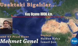 Uzaktaki Bigalılar: Mehmet Genel - Kuş Uçumu 8000 km.