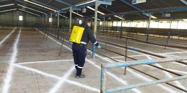 Biga'da şap hastalığı nedeniyle hayvan pazarı kapatıldı