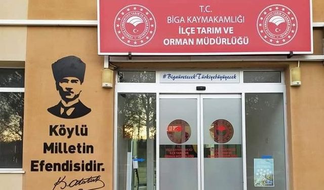 Biga'da ayçiçeği ekimine yüzde 50 hibeli destek...