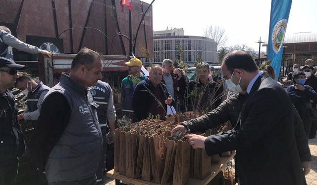 Belediye Meydanı'nda 5 bin adet fidan dağıtıldı