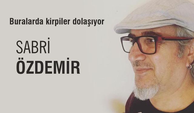 Buralarda kirpiler dolaşıyor