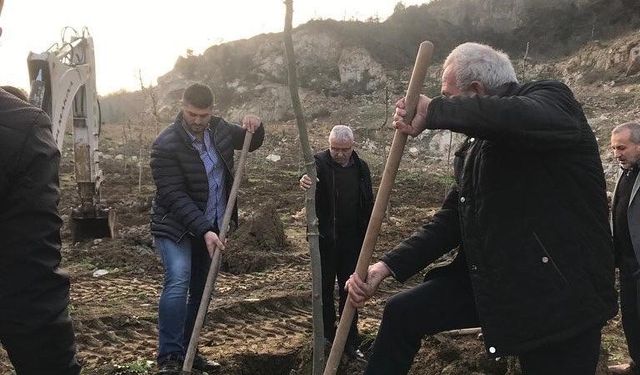 Başkan Altınkaya fidan dikti