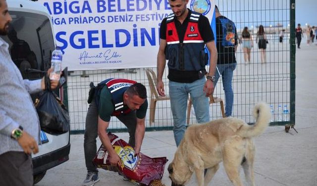 'Haydi' Karabiga'da beğeni topladı