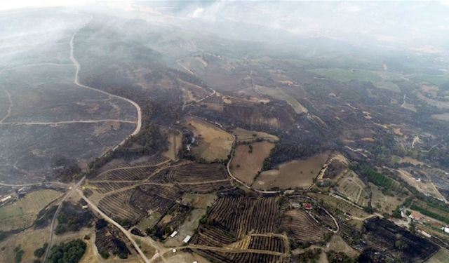 Kızılkeçili yangını bilançosu: 2.500 hektar zarar gördü