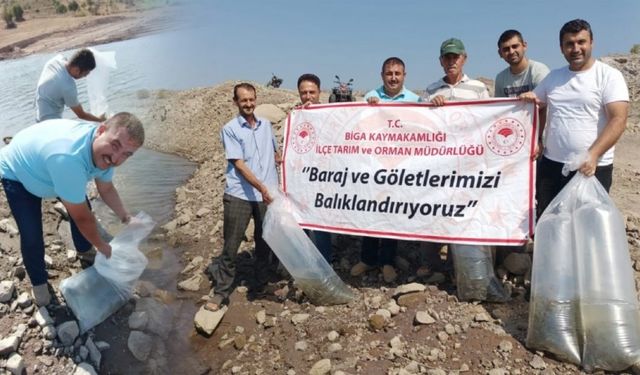 Biga’da göletlere 30 bin pullu sazan balığı yavrusu bırakıldı