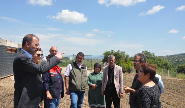 Kaymakam Dolu'dan üreticilere destek ziyareti