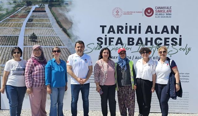 Tarihi Yarımada’da “İlk Hasat” Heyecanı