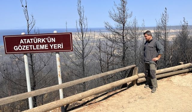 “Herhangi bir anıt, abide, heykel, müze zarar görmedi”