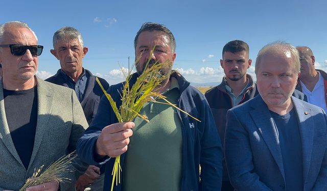 Sivil Toplum Kuruluşları felaketin ardından ortak açıklama yaptılar