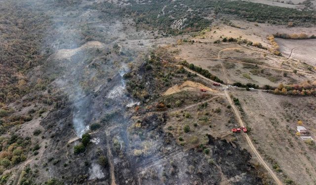 Biga'da 2 hektar orman alanı yandı