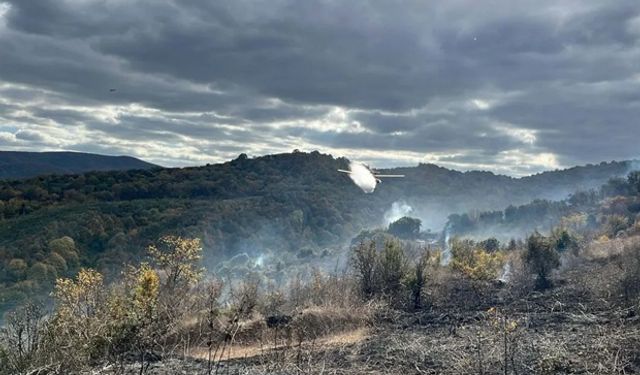 “Çanakkale Orman Varlığı Yüzde 35’e Düştü”