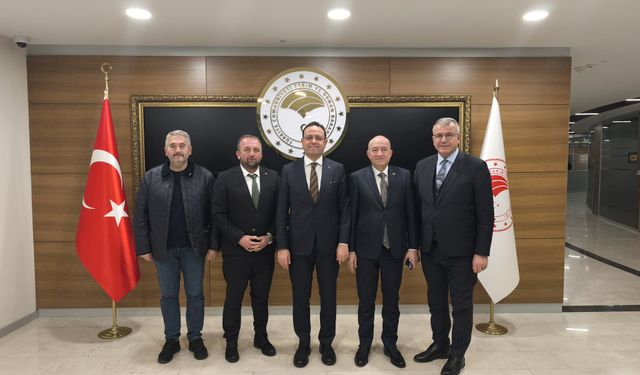 Karabiga’da Şeremetdere Köprüleri Yenileniyor