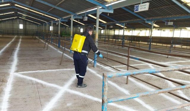 Biga'da şap hastalığı nedeniyle hayvan pazarı kapatıldı