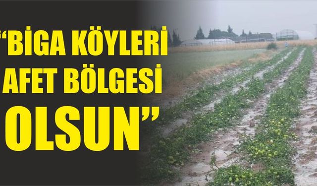 "Biga köyleri afet bölgesi olsun"