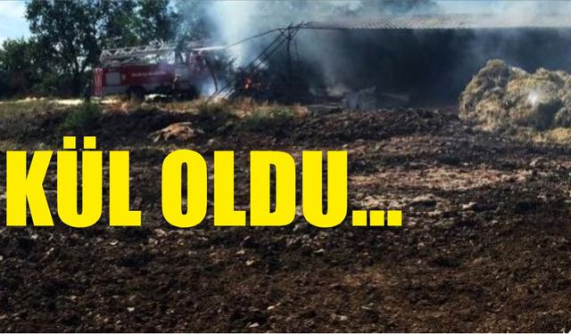 Yangında kül oldu