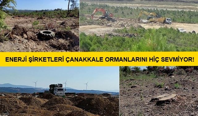 Kazdağları’na bir hançer de SANKO'dan..