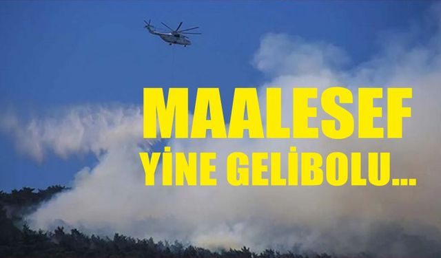 Maalesef Gelibolu yine yanıyor