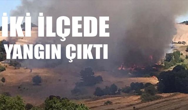 İki ilçede orman yangını çıktı