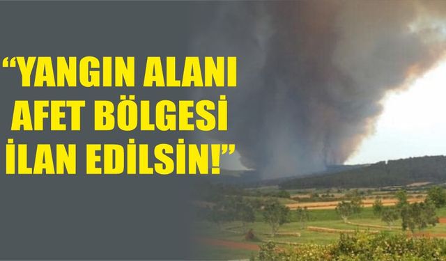 "Yangın alanı afet bölgesi ilan edilsin!"