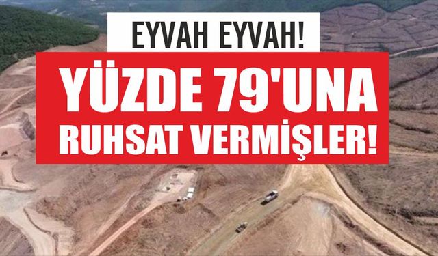 Yüzde 79'una maden ruhsatı vermişler!