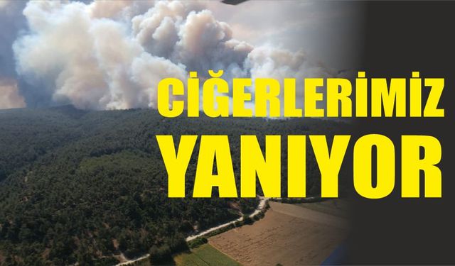 Ciğerlerimiz yandı