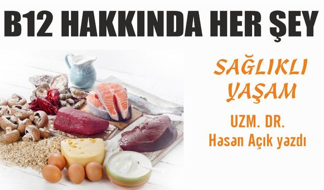 B12 hakkında her şey