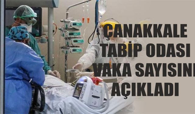 Çanakkale'deki yatan hasta sayısını açıkladılar