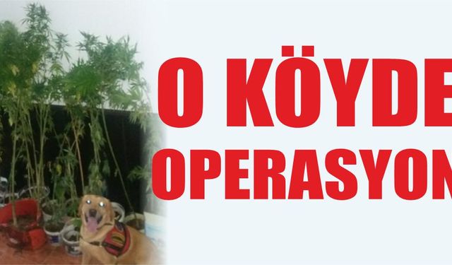 O köyde operasyon...