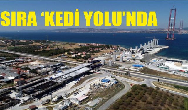 Sıra 'Kedi Yolu'nda