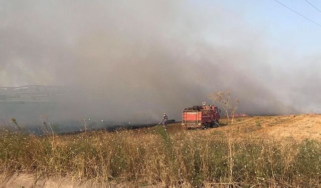 Yeniçiftlik'te yangın...