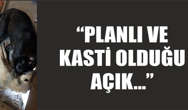 "Planlı ve kasti olduğu açık"