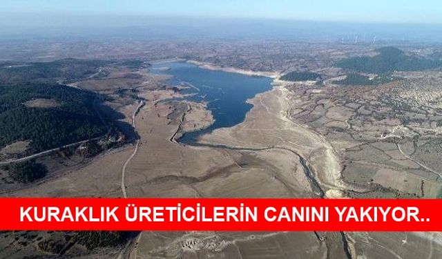 Kuraklık Bayramiçli Üreticileride Vurdu!