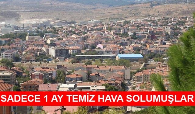 Termik Santraller Çanlıları 2019'da 172 gün Boyunca Zehirlemiş!