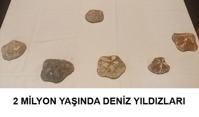 Tarihi Eser Kaçakçısı 4 Kişi Yakalandı